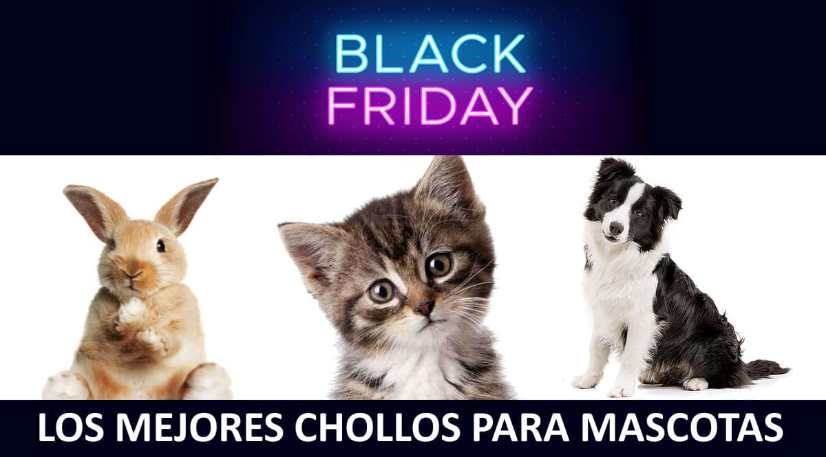 Las mejores ofertas para mascotas del Black Friday, productos para mascotas baratos, ofertas para mascotas chollo