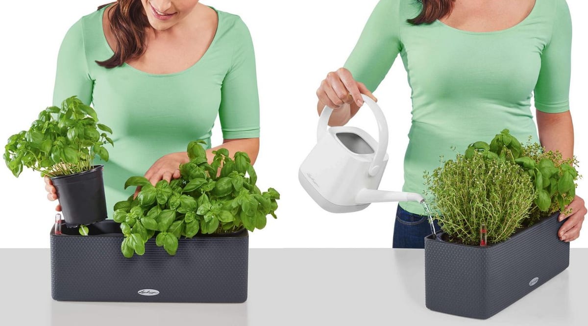 Jardinera Lechuza Cube Kit Completo barata. Ofertas en jardineras, ofertas en macetas, macetas baratas, jardineras baratas, chollo