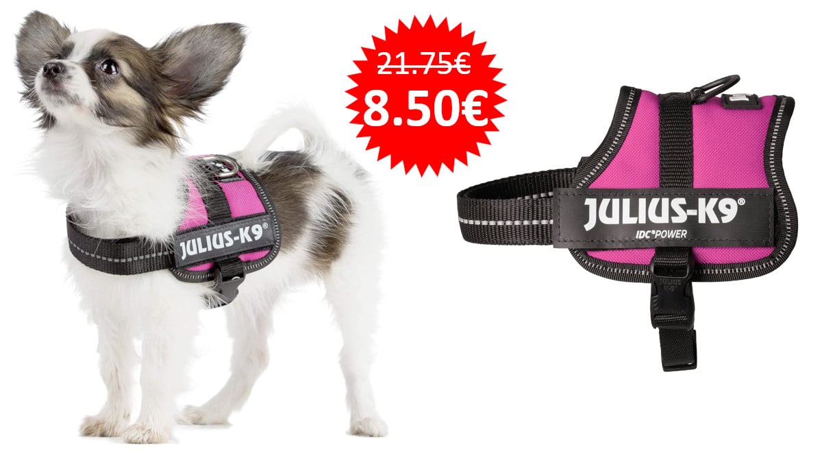 ¡Precio mínimo histórico! Arnés Julius-K9 para perro talla Baby 2 (2XS) sólo 8.50 euros. 61% de descuento.